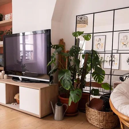 Appartement Charming Apartment All Comfort In Paris 18 Paris